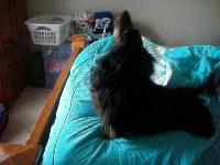 very attentive. always by my side