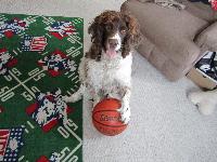 Skylark learned a new trick---how to dribble!