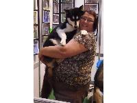 A gorgeous Husky gets a cuddle in Discover Dogs at Crufts 2011.