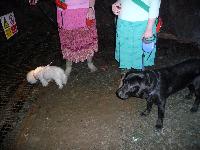 Buddy and Star explore Snailbeach Mine.