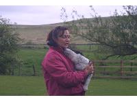 Vikki Sykes cuddling a young Border Collie at the Mainline Border Collie Centre.