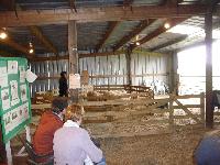 Vikki Sykes demonstrating using the pen during the Sheepdog Experience at the Mainline Border Collie Centre.
