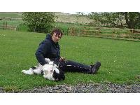Who says it's all work for working dogs? Barbara Sykes gives Tess a tummy tickle.