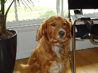 Gordy is 5 years old!!!