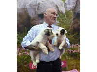 Harry Parsons was at Crufts promoting his beloved Sealyhams.