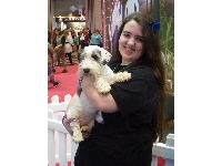 Jenny fell in love with the Sealyham puppies.