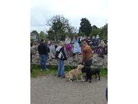 These dogs played while their people watched the medieval clothing demonstration.