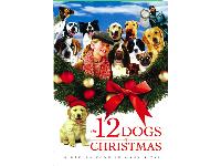 The Twelve Dogs of Christmas - a heartwarming movie.