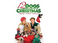 12 Dogs of Christmas: Great Puppy Rescue. 