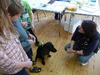 Anne Browning talking to young puppy owners.
