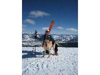 Ted and Pukka in the snow