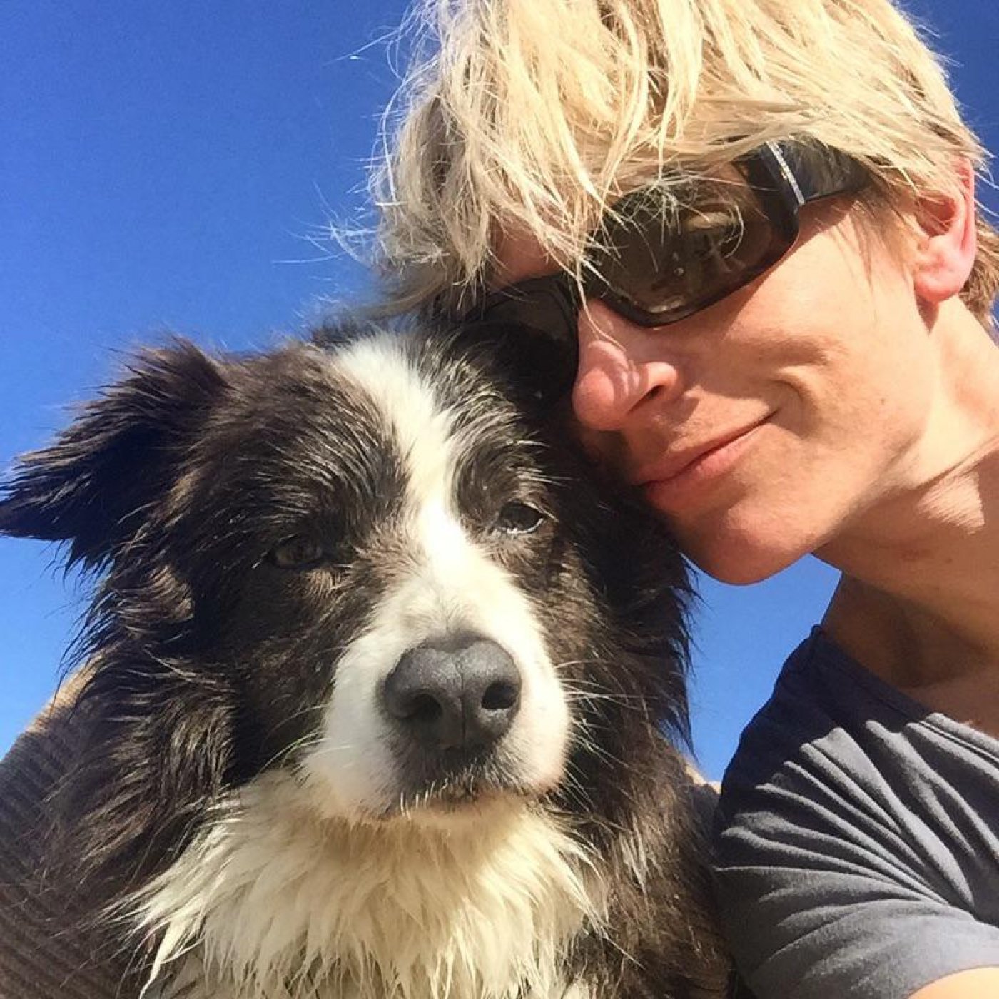 Episode 182 - Canine Arthritis Management and The Buddy Foundation of Maryland episode artwork