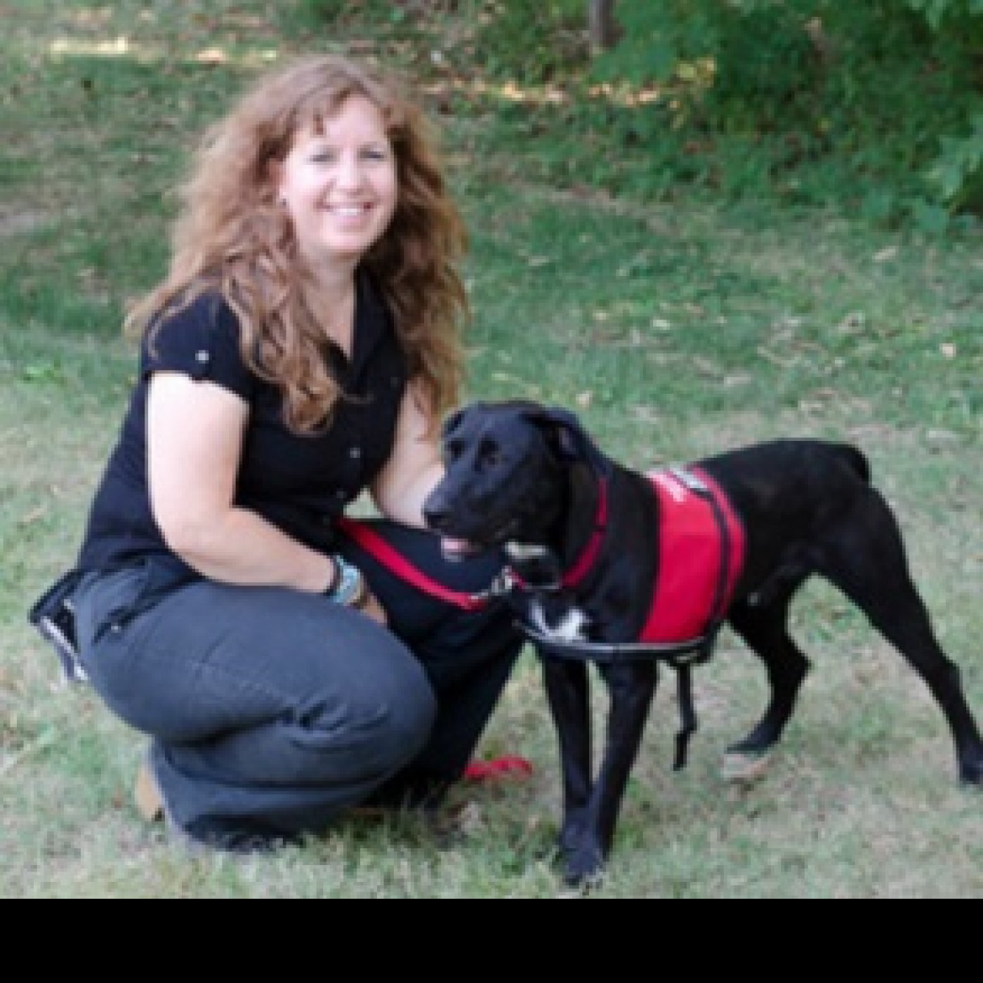 Episode 192 - Rescue dogs: how to adopt one and how to help if you can't episode artwork