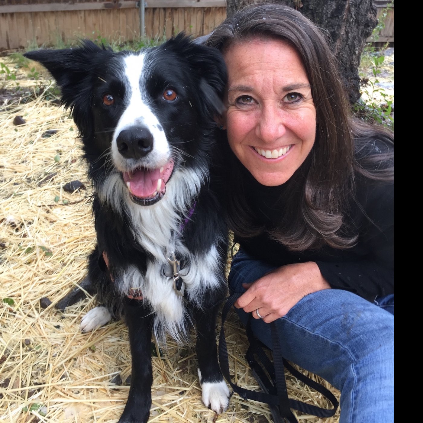 Episode 217 - Make your dog happy with Karen London and Nosey Barker episode artwork