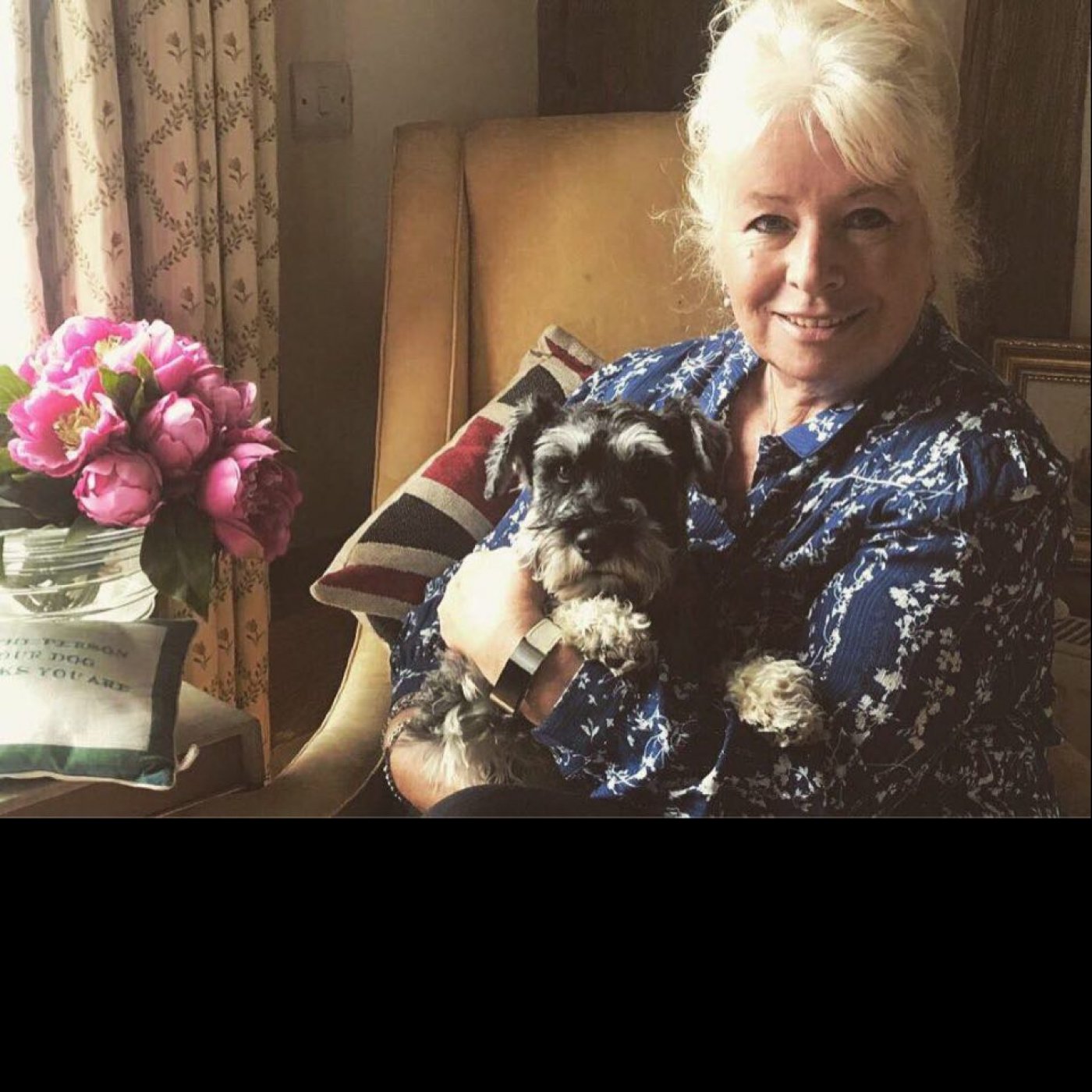 Episode 220 - Keeping dogs safe from theft, loss and heat stroke