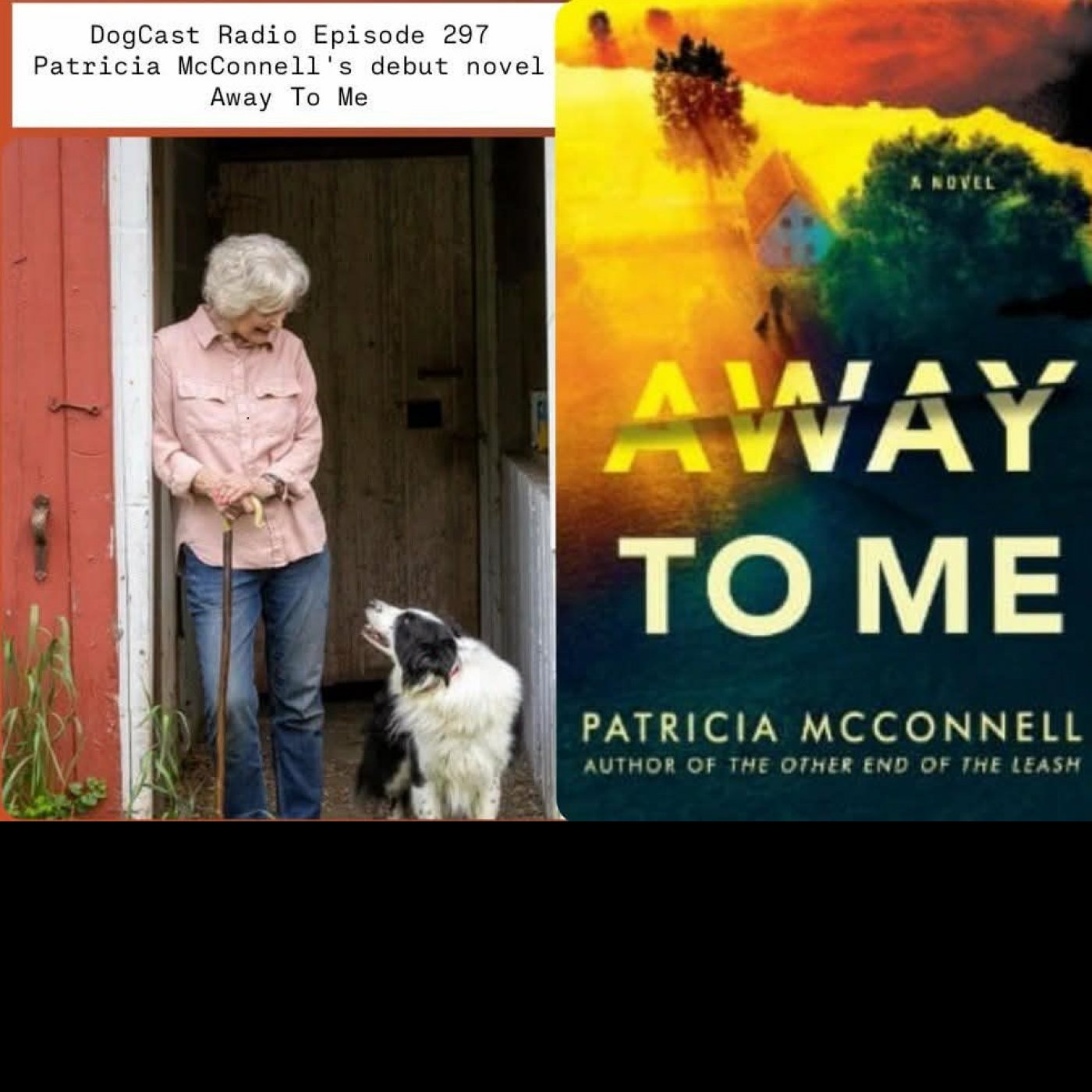 Episode 297 - Patricia McConnell novel Away To Me Episode 297 - Patricia McConnell novel Away To Me