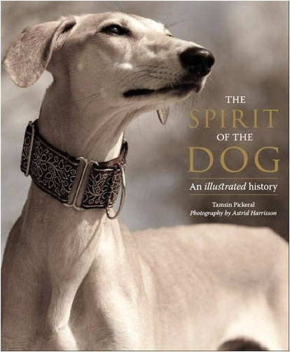 The Spirit of the Dog explores how dog breeds developed. The cover girl is Minnie, a Saluki, in Gloucestershire