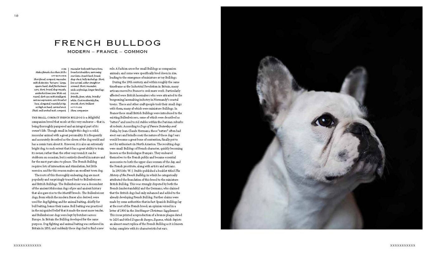 Tamsin Pickeral's informative text details the development of each breed featured.