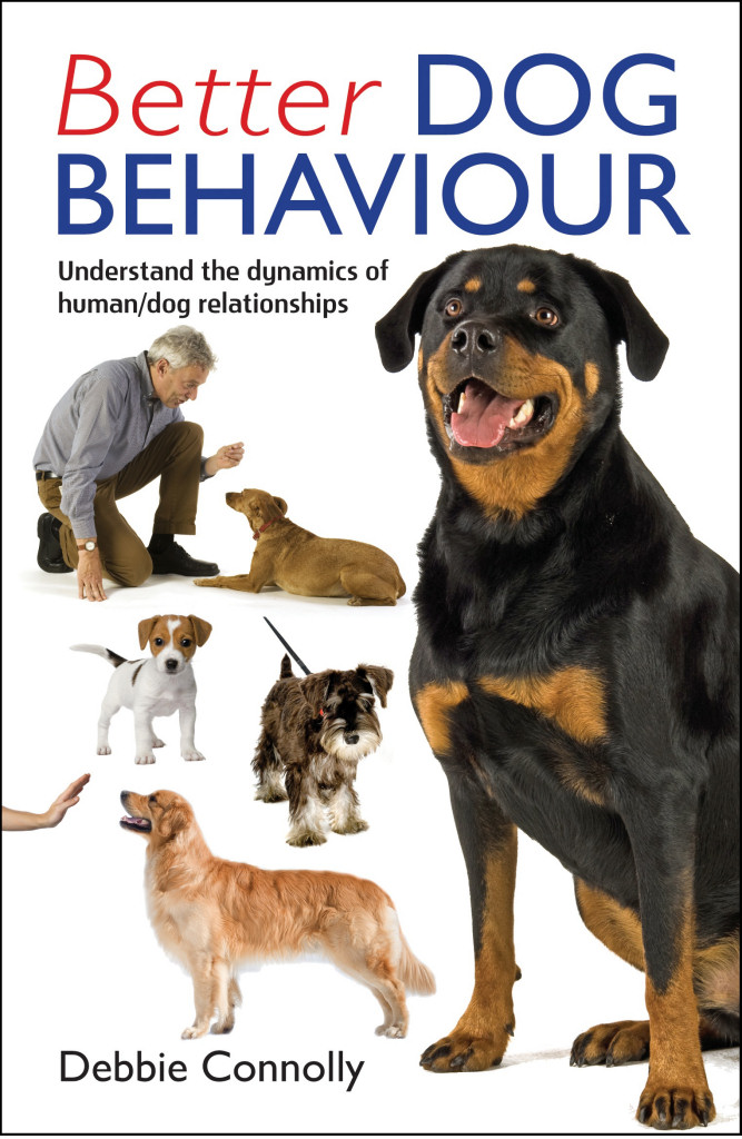 Debbie's book has great advice as well as anecdotes to make you laugh and cry.