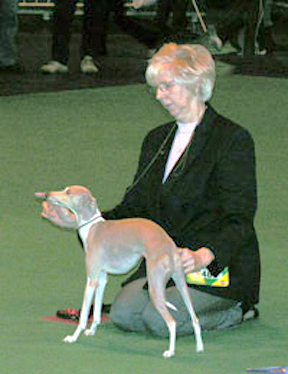 Eunice at Crufts