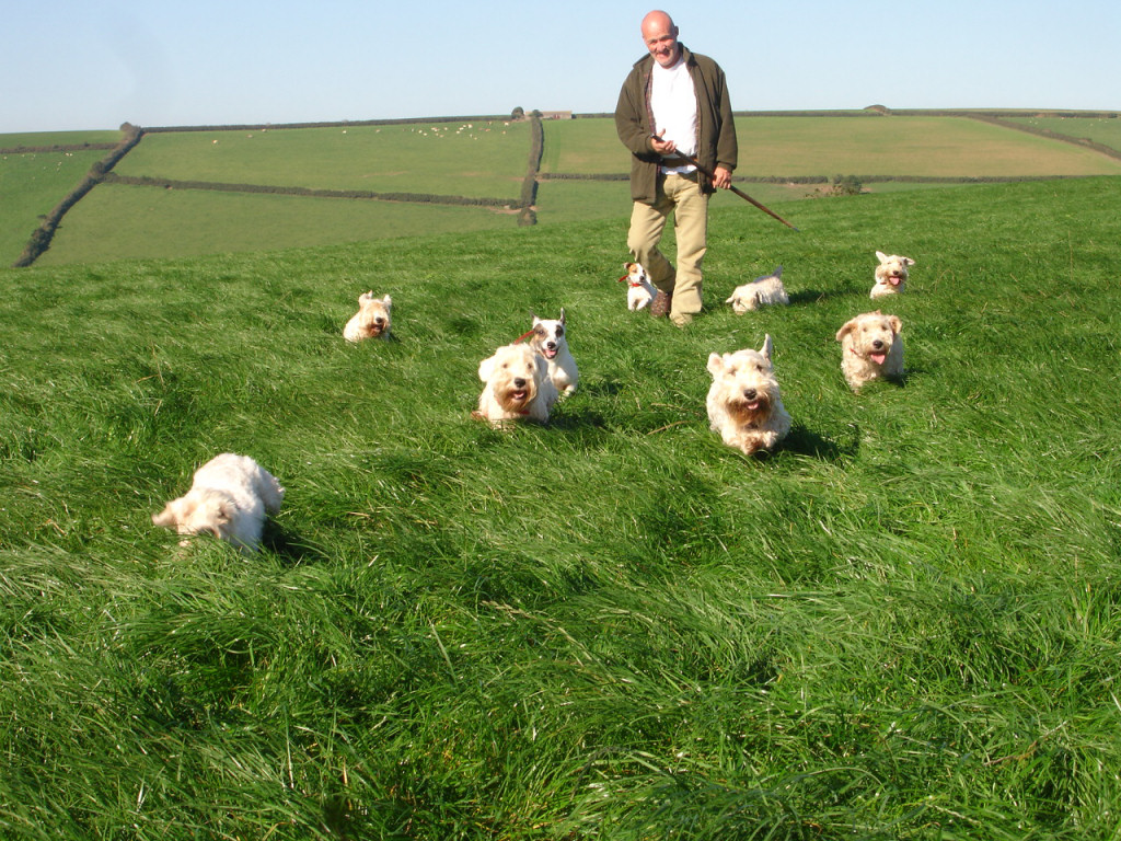 Harry Parsons and some of his Sealyhams.