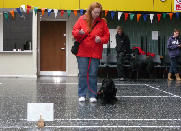 Julie and Buddy have fun trying out rally.