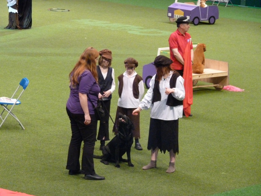 Julie and Buddy with the Safe and Sound Team in the main arena.