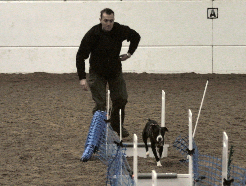 Lee Ashwood and Zoom.