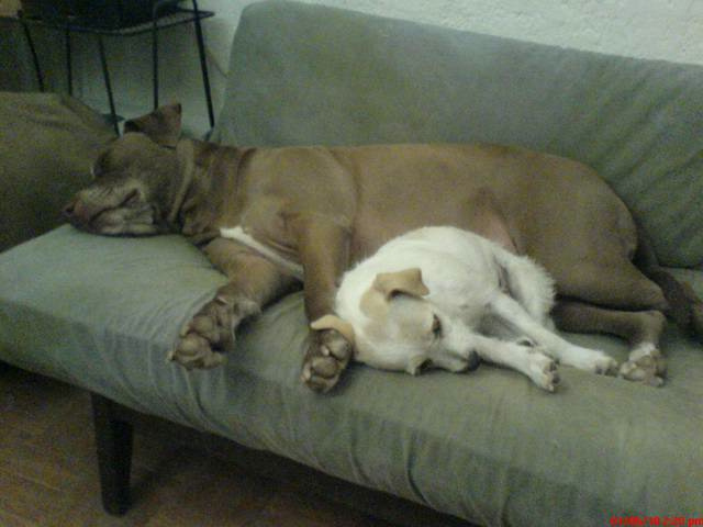 Miley and her friend relaxing.
