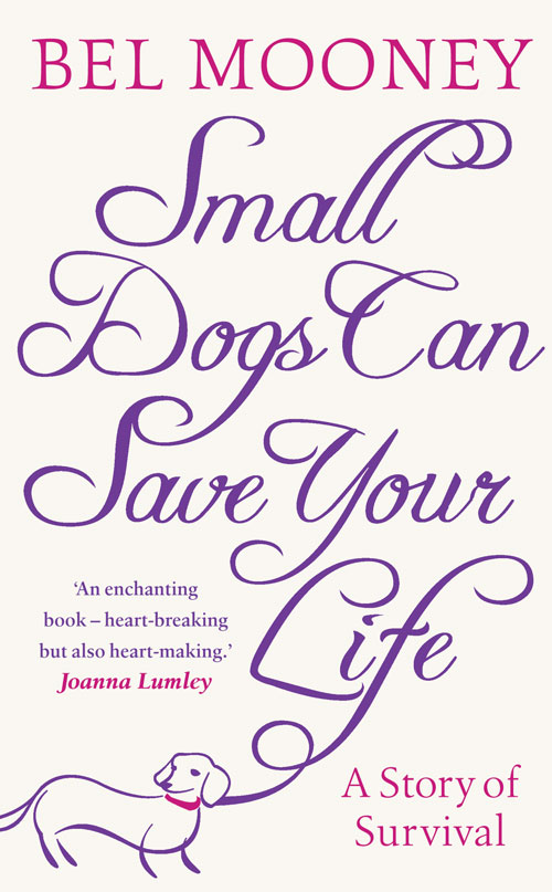 A memoir of how a small dog helped Bel Mooney survive divorce and rebuild her life.