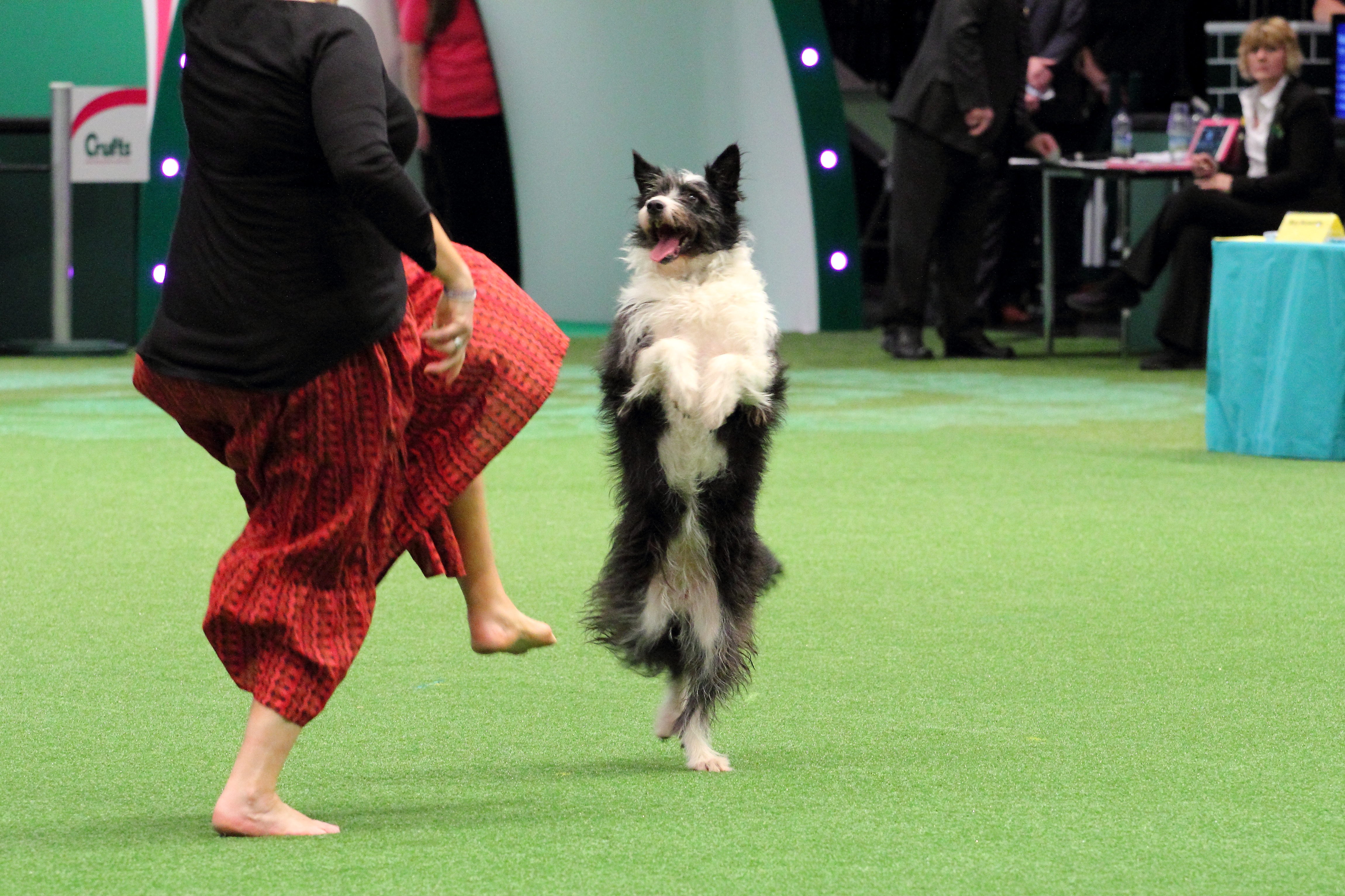 crufts dancing dogs 2019